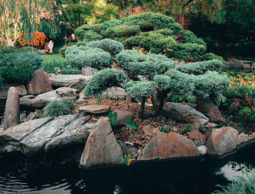 Японский сад из 260 камней появится на юго-востоке Москвы