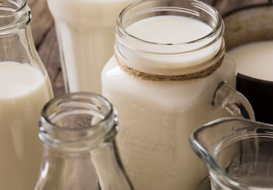 В Архангельской области откроется молочно-товарная ферма